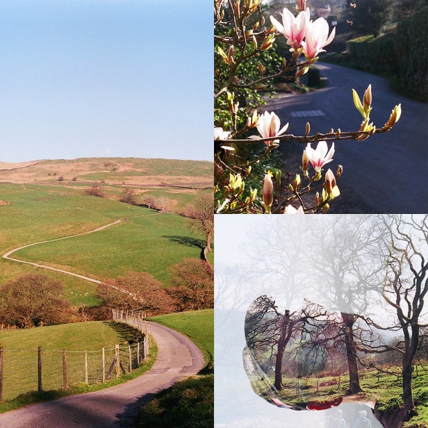 Lakes_master comps_6